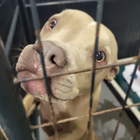 Hello! Thank you for visiting our closet! - Picture 8 of 10